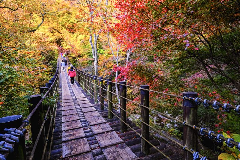 thung lũng hananuki